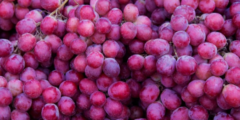 Tipos de uva
